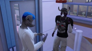 Anteprima video