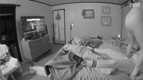 Amateur breed, bear webcam, bear couple